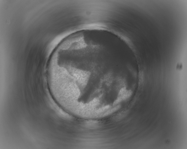 X0000112161470200909041115