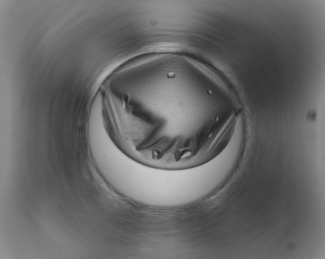 X0000112161473200909041115