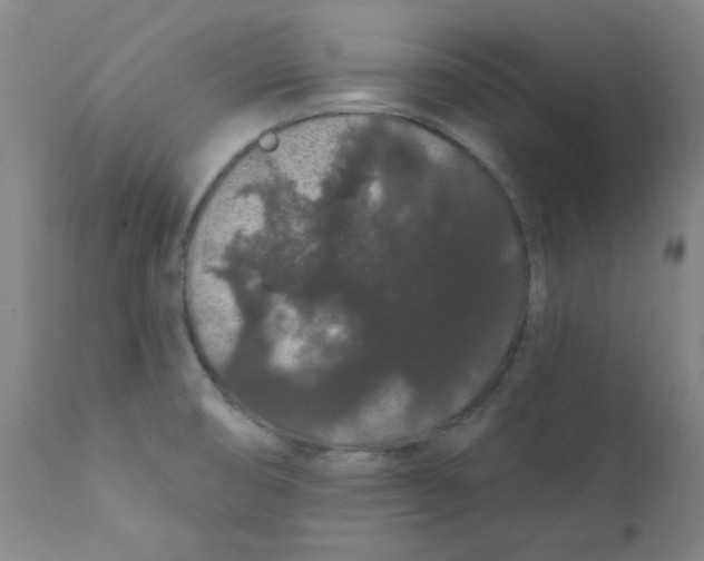 X0000112161474200909041115