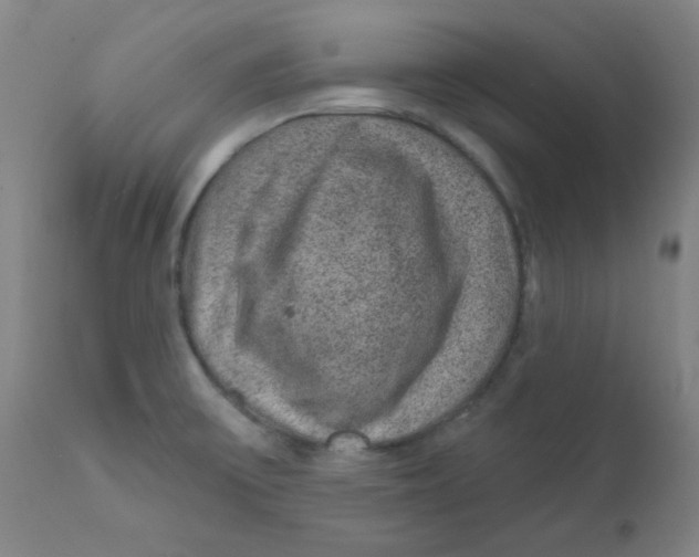 X0000112161475200909041115