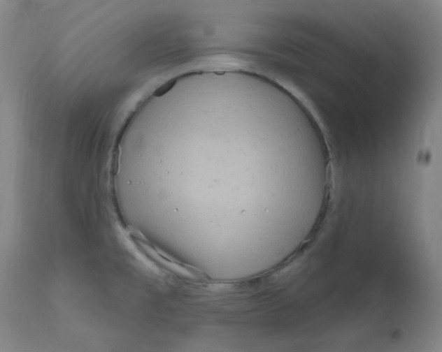 X0000112161477200909041115