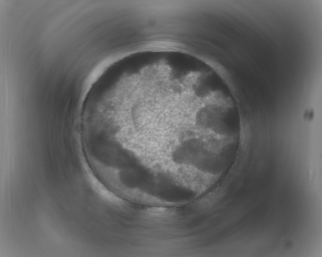 X0000112161478200909041115