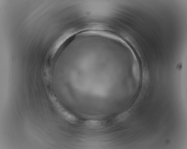 X0000112161481200909041115