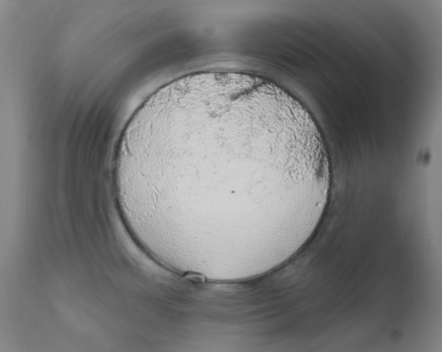 X0000112161483200909041115