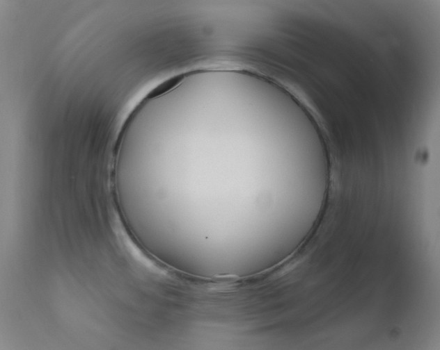X0000112161484200909041115