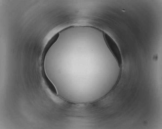 X0000112161485200909041115