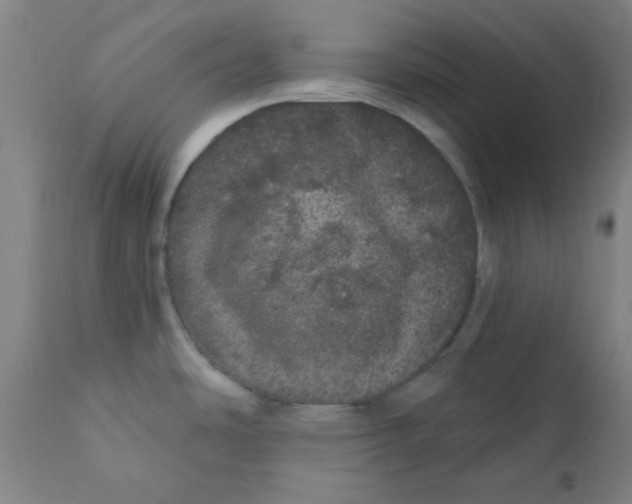 X0000112161486200909041115