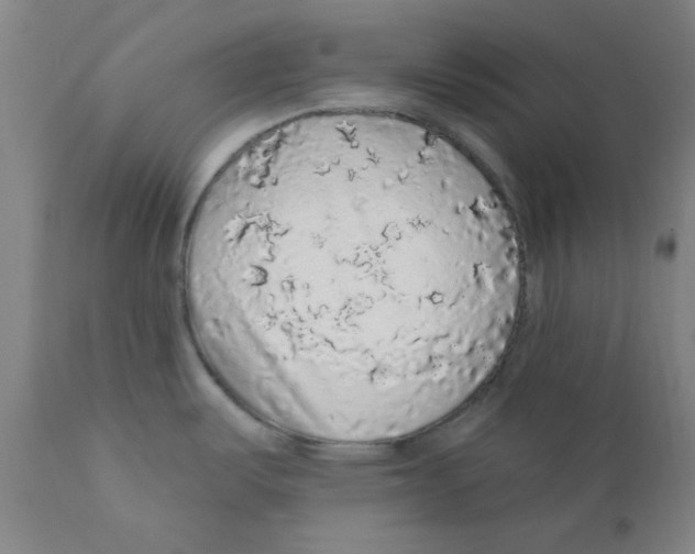 X0000112161487200909041115