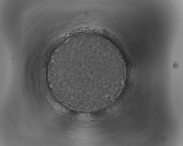 X0000112161489200909041114