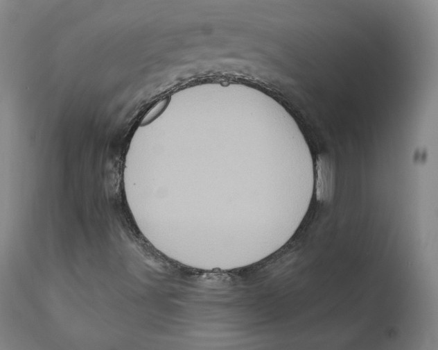X0000112161491200909041114