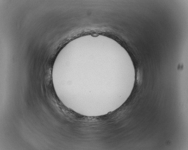X0000112161492200909041114