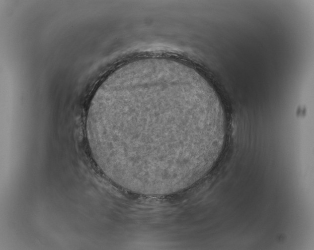 X0000112161493200909041114