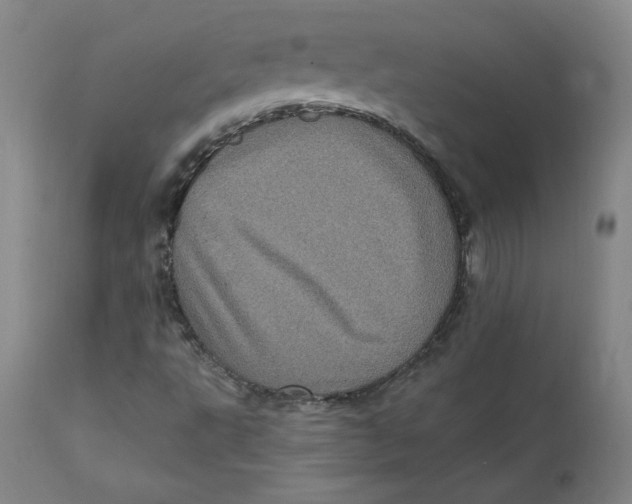X0000112161495200909041114