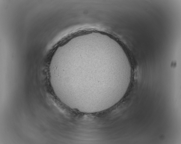 X0000112161496200909041114