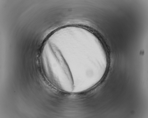 X0000112161497200909041114