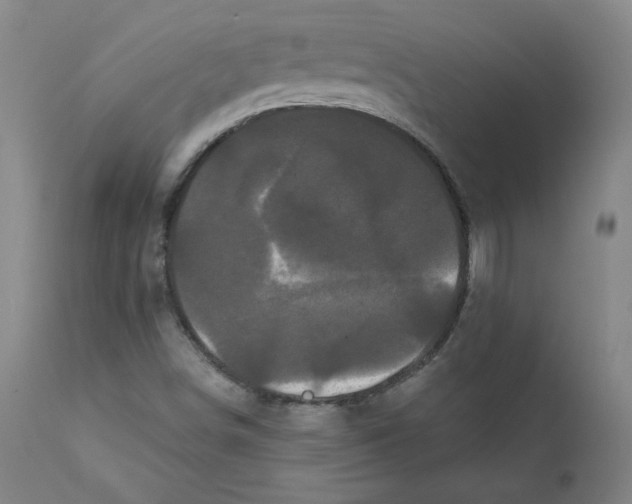 X0000112161498200909041114