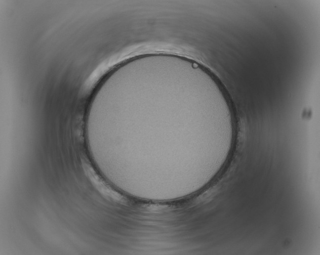 X0000112161499200909041114