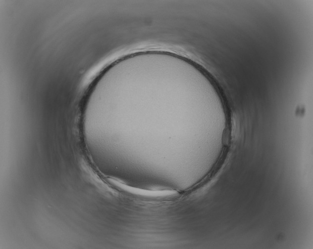 X0000112161502200909041114