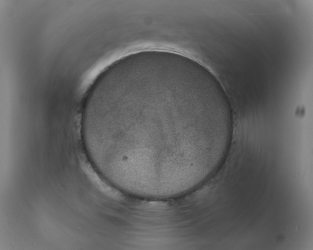 X0000112161503200909041114