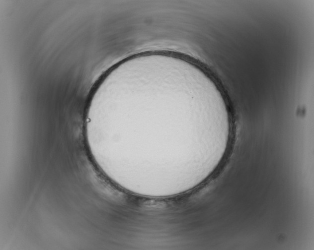 X0000112161505200909041114