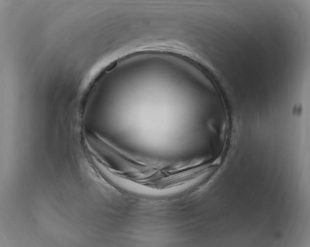X0000112161506200909041114
