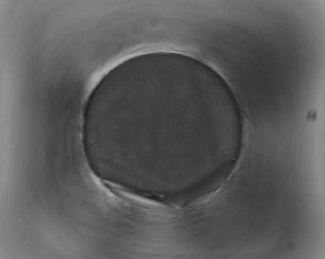X0000112161508200909041114