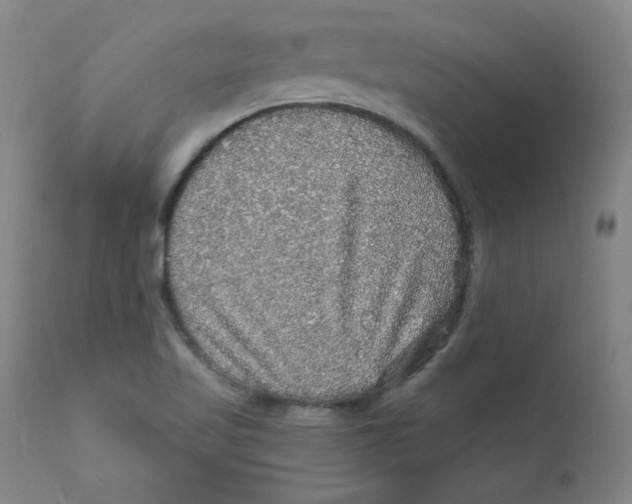 X0000112161509200909041114