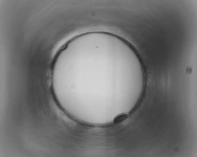 X0000112161510200909041114