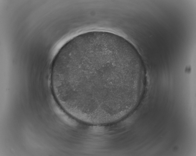 X0000112161511200909041115