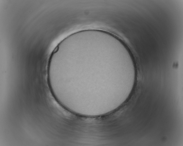 X0000112161512200909041115