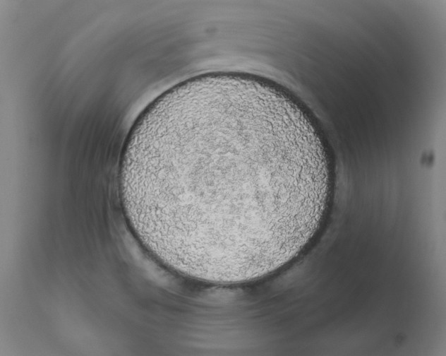 X0000112161513200909041115