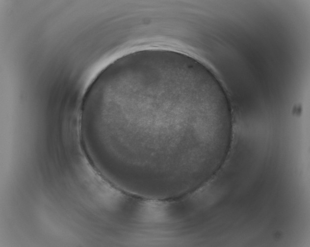 X0000112161514200909041115