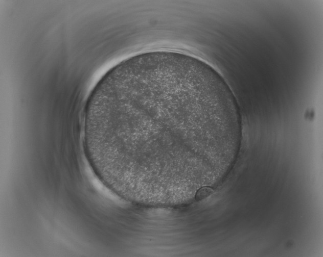 X0000112161515200909041115