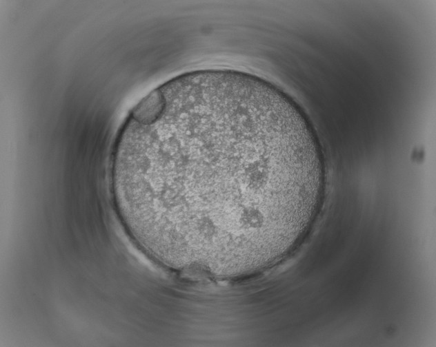 X0000112161517200909041115