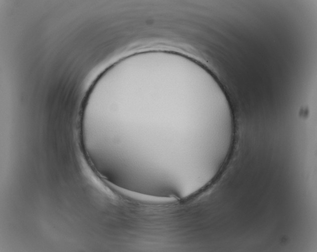 X0000112161518200909041115