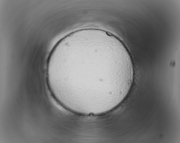 X0000112161519200909041115