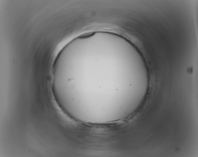 X0000112161520200909041115