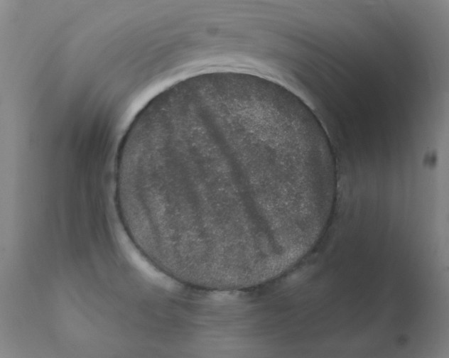 X0000112161523200909041115