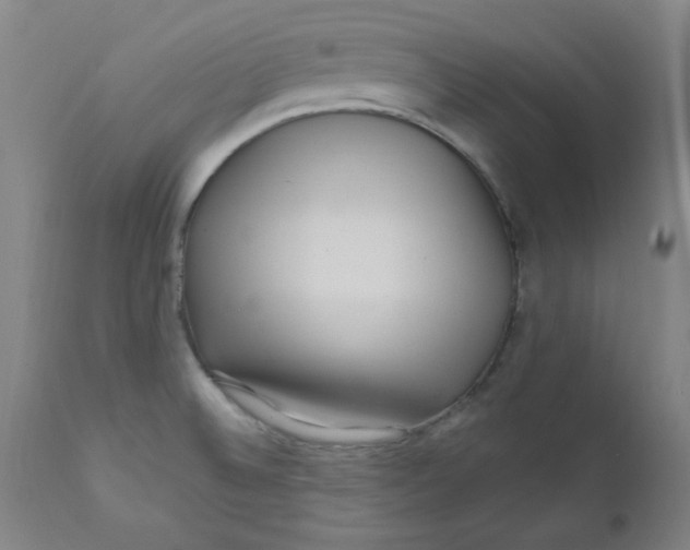 X0000112161524200909041115