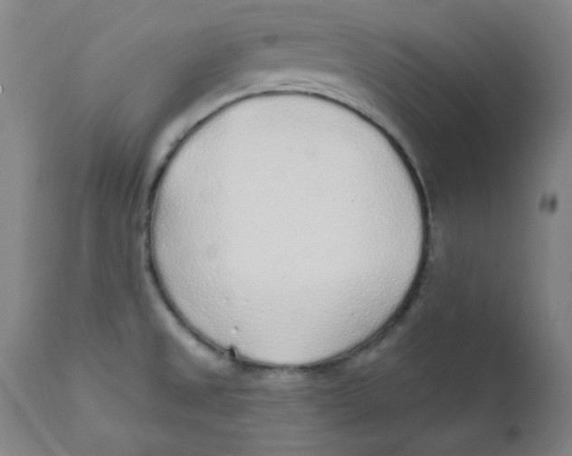 X0000112161525200909041115