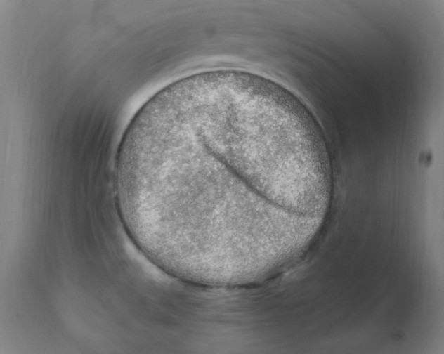X0000112161527200909041115