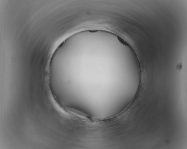 X0000112161528200909041115