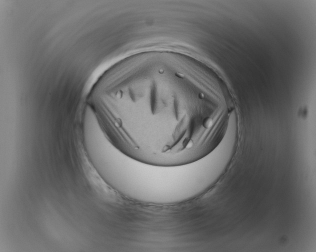 X0000112161530200909041115