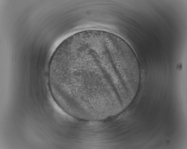 X0000112161531200909041115