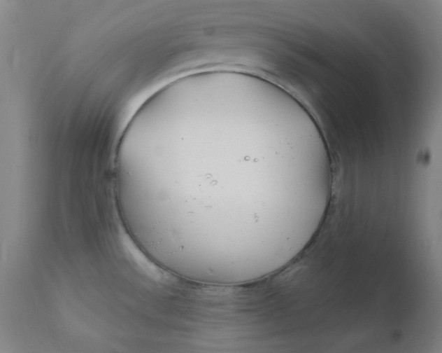 X0000112161532200909041115