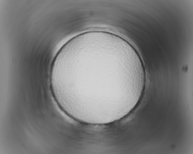 X0000112161533200909041115