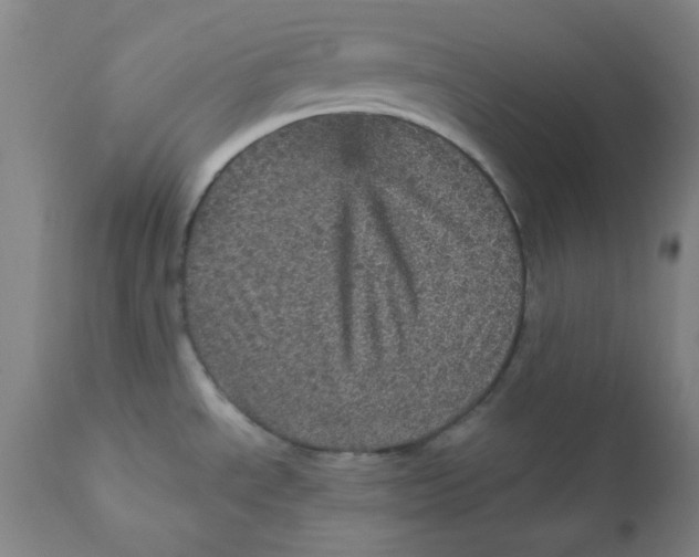 X0000112161534200909041115