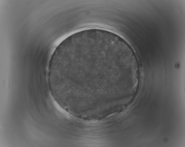 X0000112161535200909041115