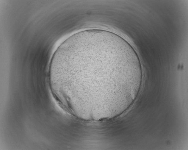 X0000112161536200909041115