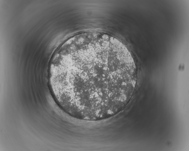 X0000112160002200909181458